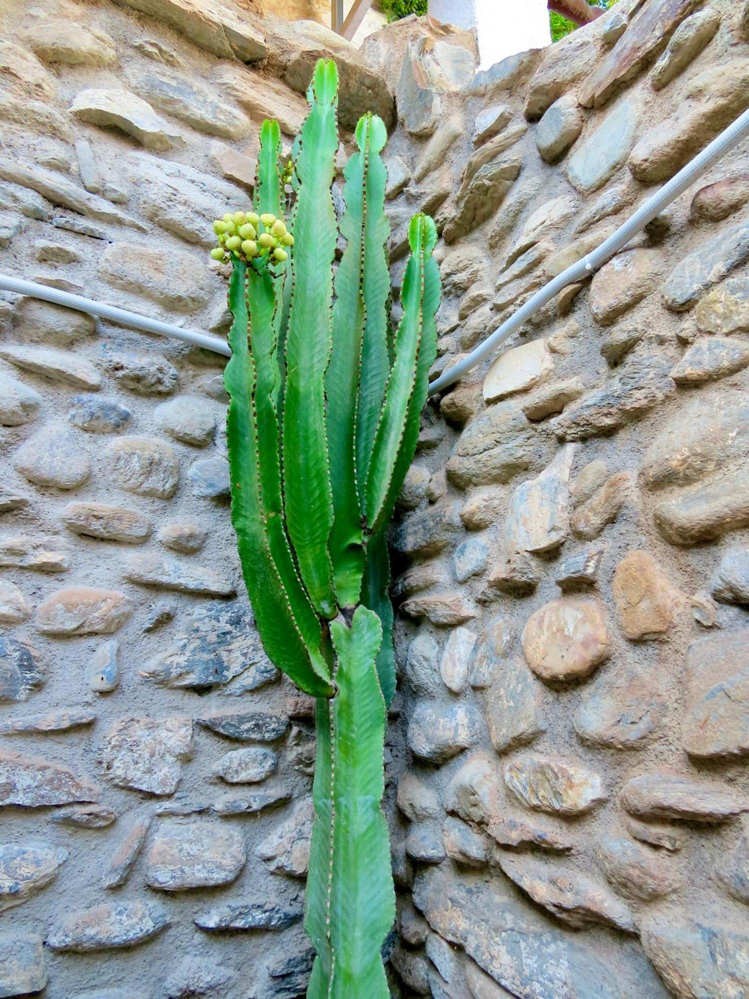 El Encanto Monachil Exteriér fotografie
